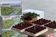 梦见洗脸高速赋能产业升级：一条“杨梅路”的致富密码